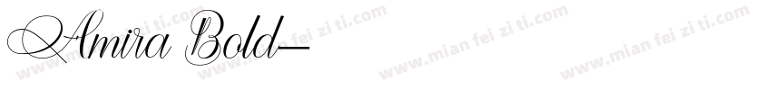 Amira Bold字体转换
